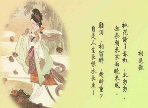 關(guān)于興趣用詩句表達(dá)