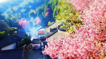 帶有人的古詩(shī)句,寫出帶月的古詩(shī)句,兩句帶月的古詩(shī)句