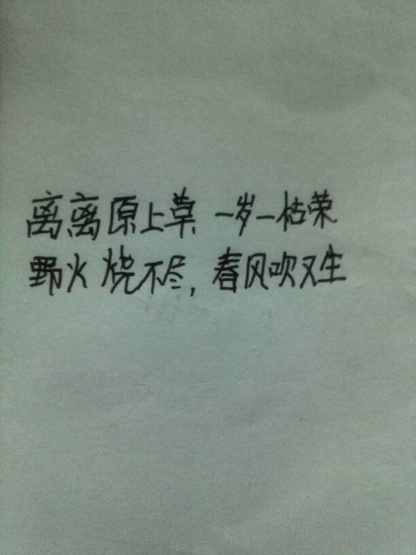 有關(guān)于堅強的詩句
