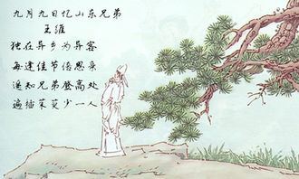 不被,詩句,形容,理解