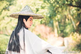 夸獎人臉白的古詩句
