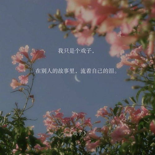 席慕蓉愛情詩句,關于詩和遠方的詩句席慕蓉,故宮雪景的詩句席慕蓉