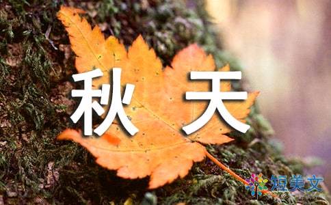 關于秋天的四字詞語和詩句