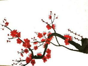 古詩(shī),詩(shī)句,贊美,雪梅