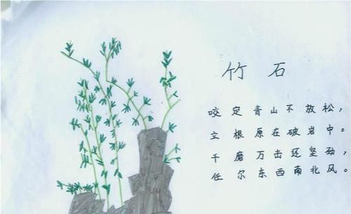 關(guān)于雨的詩(shī)句表達(dá)了
