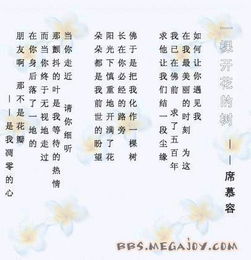 席慕蓉關于花的詩句