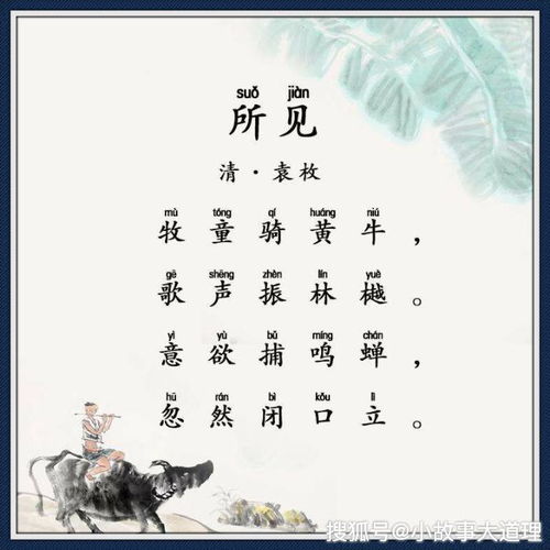 有關清代經(jīng)典詩句古詩詞網(wǎng)