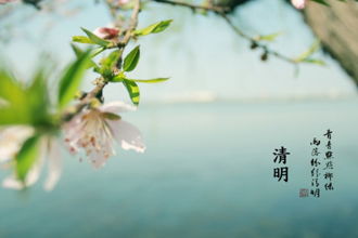 描寫太陽的積極詩句古詩詞