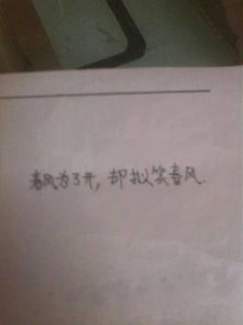 詩句,寫出,數(shù)字