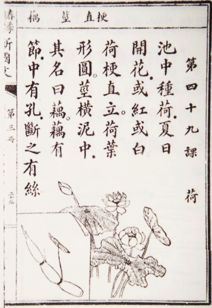 關于民國的詩句