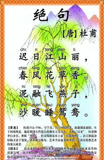 關于夏日絕句的詩句