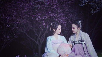 關于姊妹親情的詩句