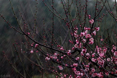 關(guān)于漫步春雨的詩句