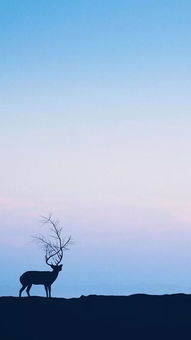 對(duì)心上人表白的古詩,想念心上人的古詩,寫給心上人的古詩