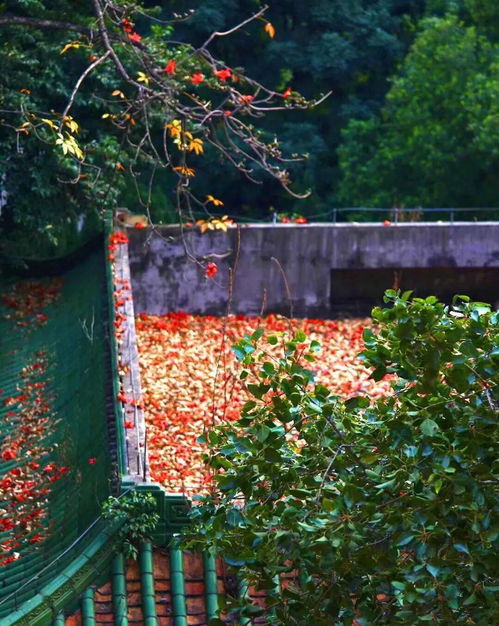 形容京城紅墻綠瓦的古詩(shī)句,形容紅墻綠瓦的文藝句,形容紅墻綠瓦的成語(yǔ)