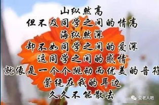 詩句,真摯,同學(xué)之間