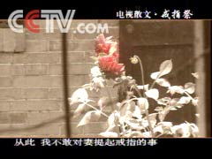 關于婚禮的散文詩句