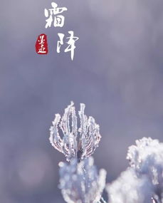 霜降,詩(shī)句,描寫