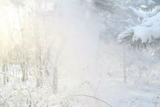 悼念,詩(shī)句,父母