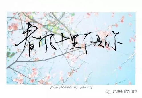 百度文庫關(guān)于桃花的古詩句
