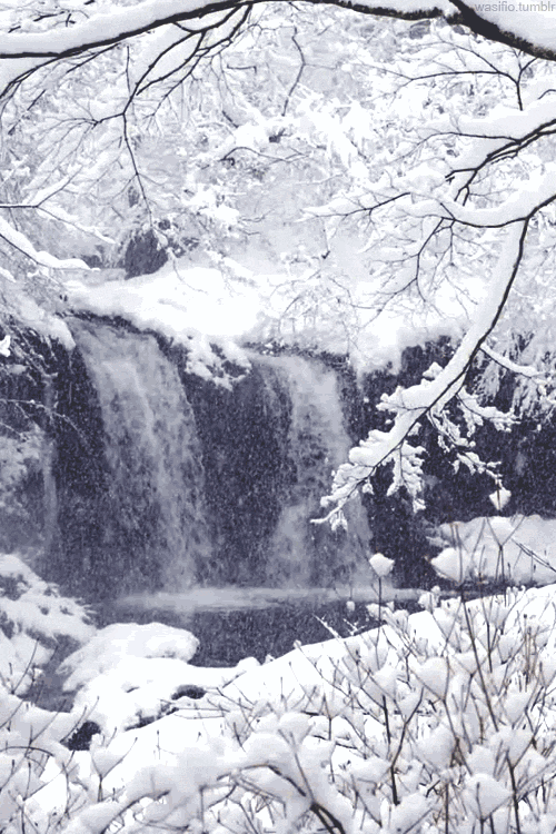 古詩(shī)詞含有雪的詩(shī)句,古詩(shī)詞中描寫雪的詩(shī)句,古詩(shī)詞中描寫雪的詩(shī)句很多請(qǐng)你寫出兩句