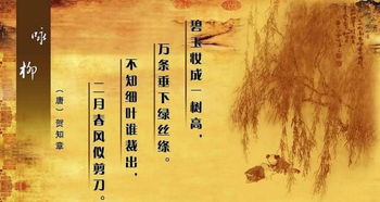 詠柳古詩句的簡單意思
