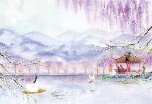 詩(shī)句,描寫,追逐,陽(yáng)光