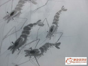 國(guó)畫,詩句