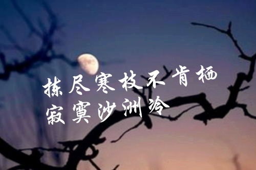 內(nèi)心強(qiáng)大的古詩句,關(guān)于內(nèi)心堅(jiān)定的古詩句,落寞失落的古詩句
