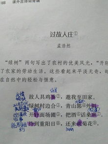 初一25首古詩(shī)哪些是寫山的詩(shī)句