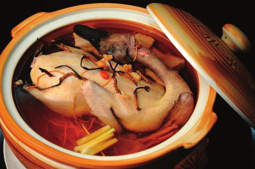 關(guān)于冬鴨的詩(shī)句