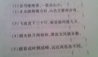 寫出幾條關于黃河的著名詩句