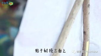 關(guān)于紙的簡單詩句