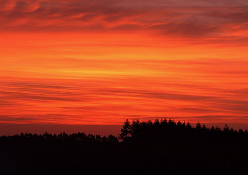 描寫(xiě)落日的詩(shī)句古詩(shī)詞