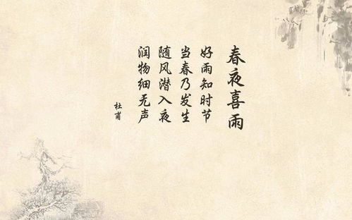 關(guān)于不懂我的詩句