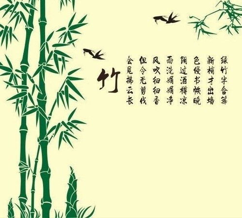 關于竹的詞語和詩句