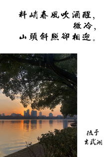 關(guān)于長(zhǎng)安春天贊美花的詩(shī)句古詩(shī)