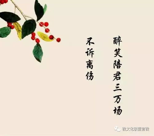 美好未來的古詩(shī)句