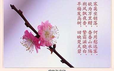 有關花兒的唯美古詩句