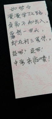 關(guān)于報復的自編詩句