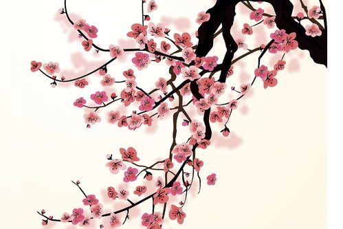 梅花詩句有哲理的古詩