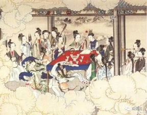 紅樓夢(mèng)里關(guān)于紫徽花的詩句