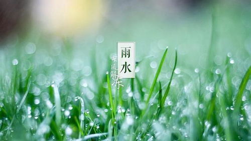 有關雨詩句古詩