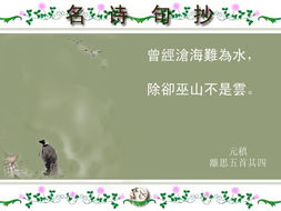 關(guān)于愛情的詩句唯美,關(guān)于愛情的詩句現(xiàn)代詩,關(guān)于愛情遺憾的詩句