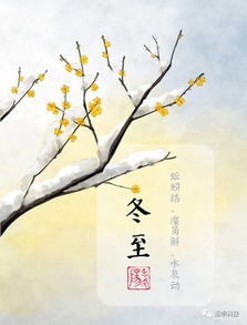 關于冬至的優(yōu)美詩句