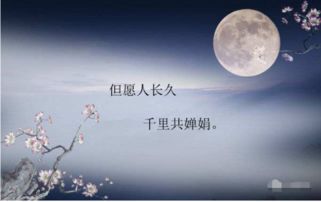 月亮,詩句,中秋