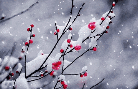 關于雪和溪的詩句