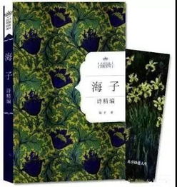 關于成就理想的詩句