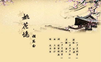 詩句,牽掛,感謝