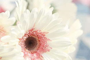 關于勇敢唯美詩句